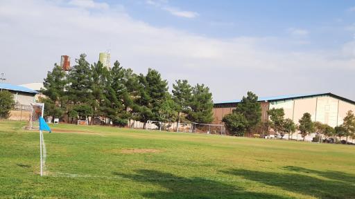 عکس زمین چمن دانشگاه باهنر