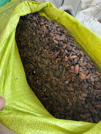 آجیل و خشکبار آندریک