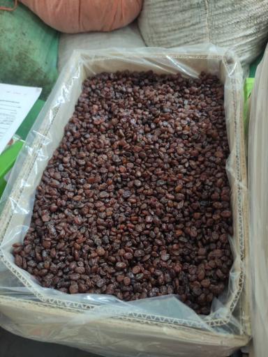 آجیل و خشکبار آندریک