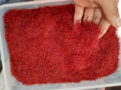 آجیل و خشکبار آندریک