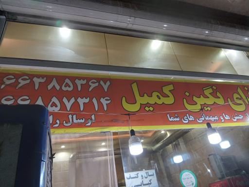 عکس تهیه غذای نگین کمیل