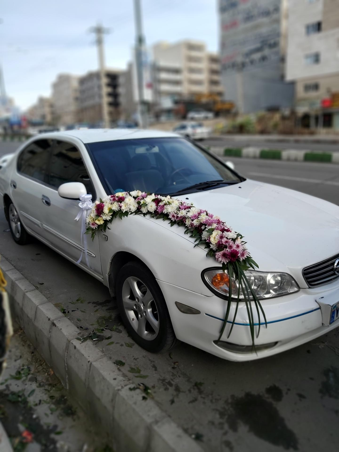 عکس گل فروشی رز سیاه