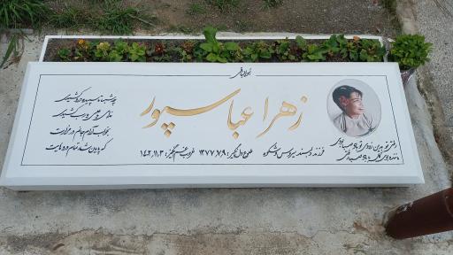 عکس آرامستان امامزاده طاهر