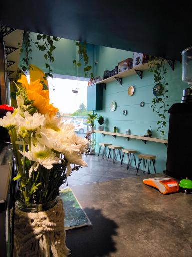 عکس قهوه یاشیل