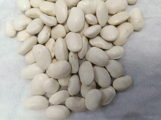 عکس بازرگانی کلان آذر