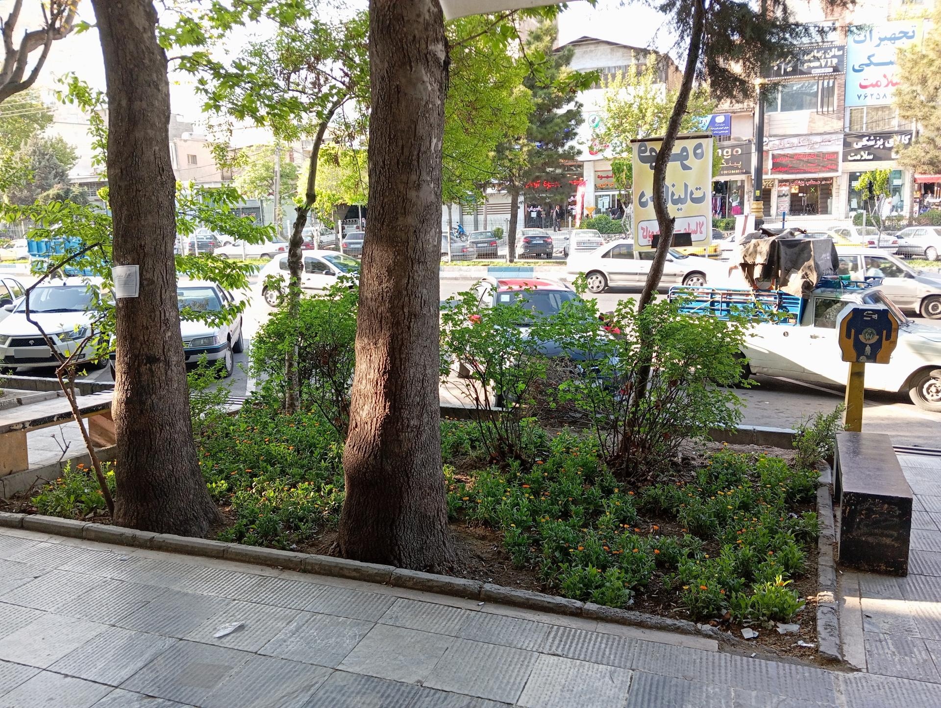 عکس قهوه چی