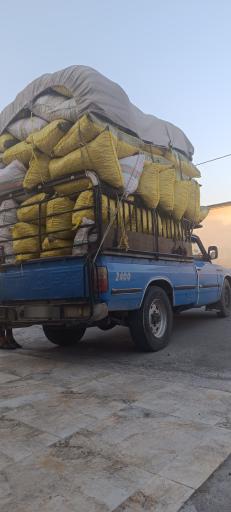 عکس بازرگانی خشکبار لیمو محمودی(الماس جنوب)