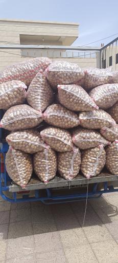 بازرگانی خشکبار لیمو محمودی(الماس جنوب)