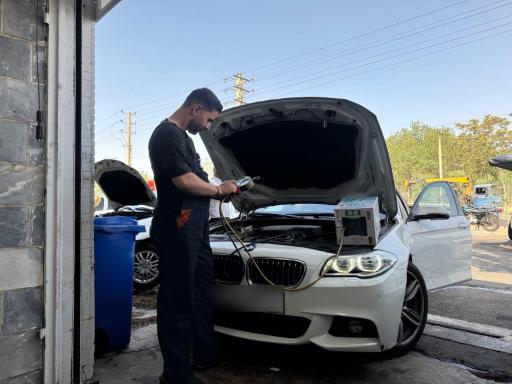 عکس باطری سازی شکاری