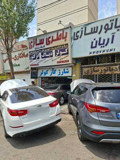 عکس باطری سازی شکاری
