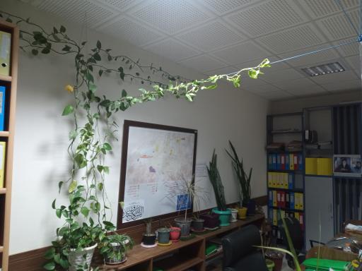 عکس شهرداری گرمسار