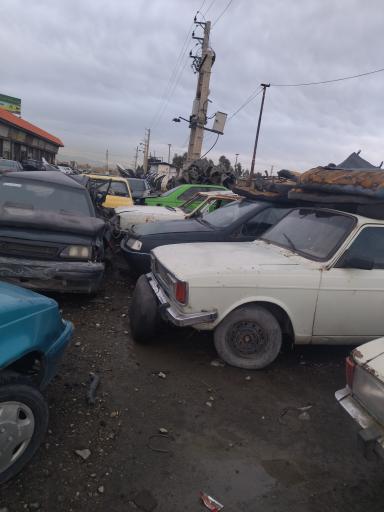 عکس استوک یدک احمدی