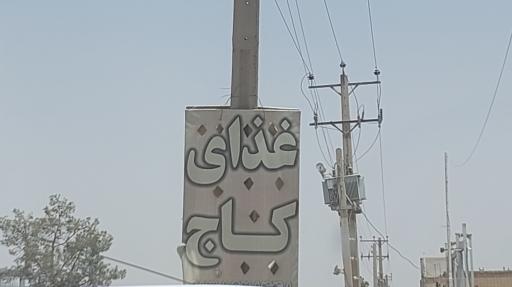 عکس غذای کاج