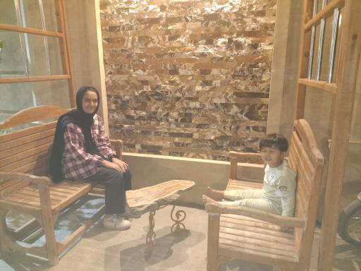 عکس باغسرای امیرعلی