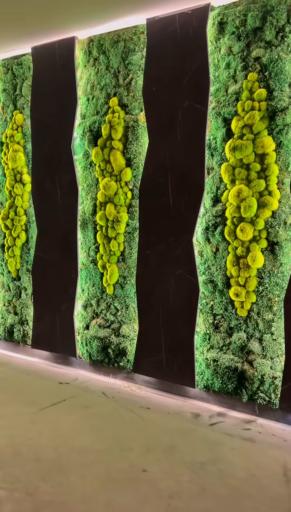 عکس مجتمع تجاری سنه سنتر 