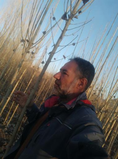 عکس نهالستان مهندس منصور مهدیزاده