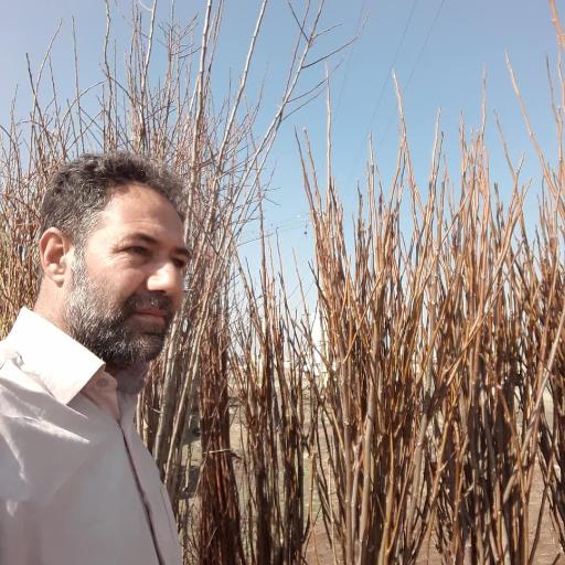 عکس نهالستان مهندس منصور مهدیزاده