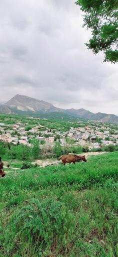 عکس مجموعه تفریحی تپه قلات