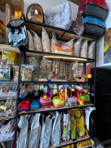 عکس پت شاپ تیدا