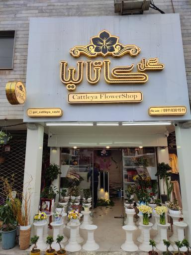 عکس گلسرای کاتالیا