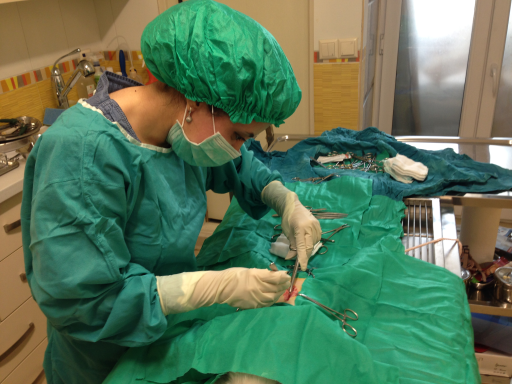 عکس کلینیک دامپزشکی دکتر مکرم