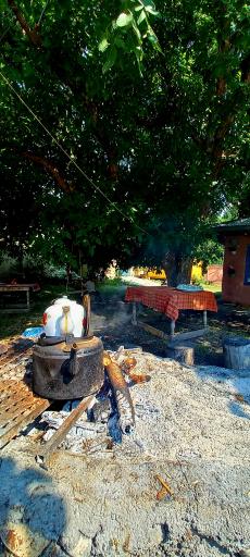 عکس گردشگری پیرکوه
