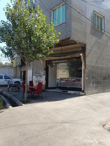 عکس پاتوق اوس موسی 