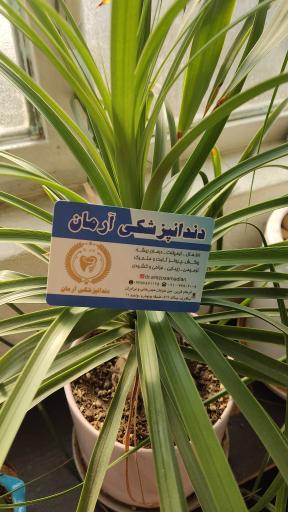 عکس دندانپزشکی آرمان