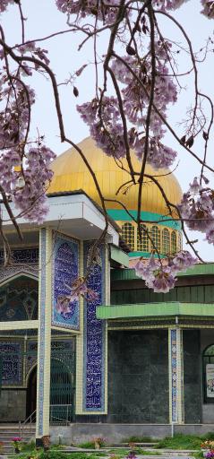 عکس امام زاده سیدکیا ابوالحسن(ع)