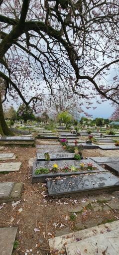 عکس امام زاده سیدکیا ابوالحسن(ع)