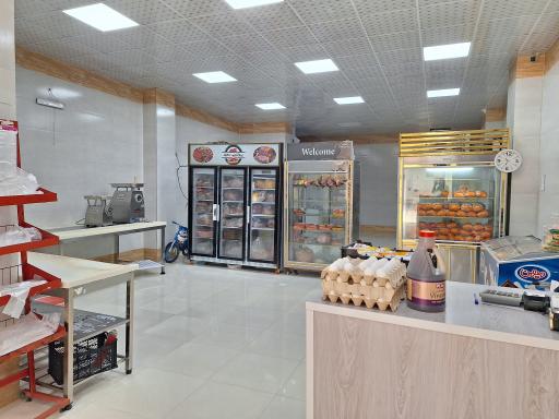 عکس مرغ و گوشت مهدی