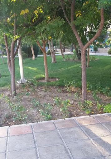 عکس پارک فاز 1 نبوت 