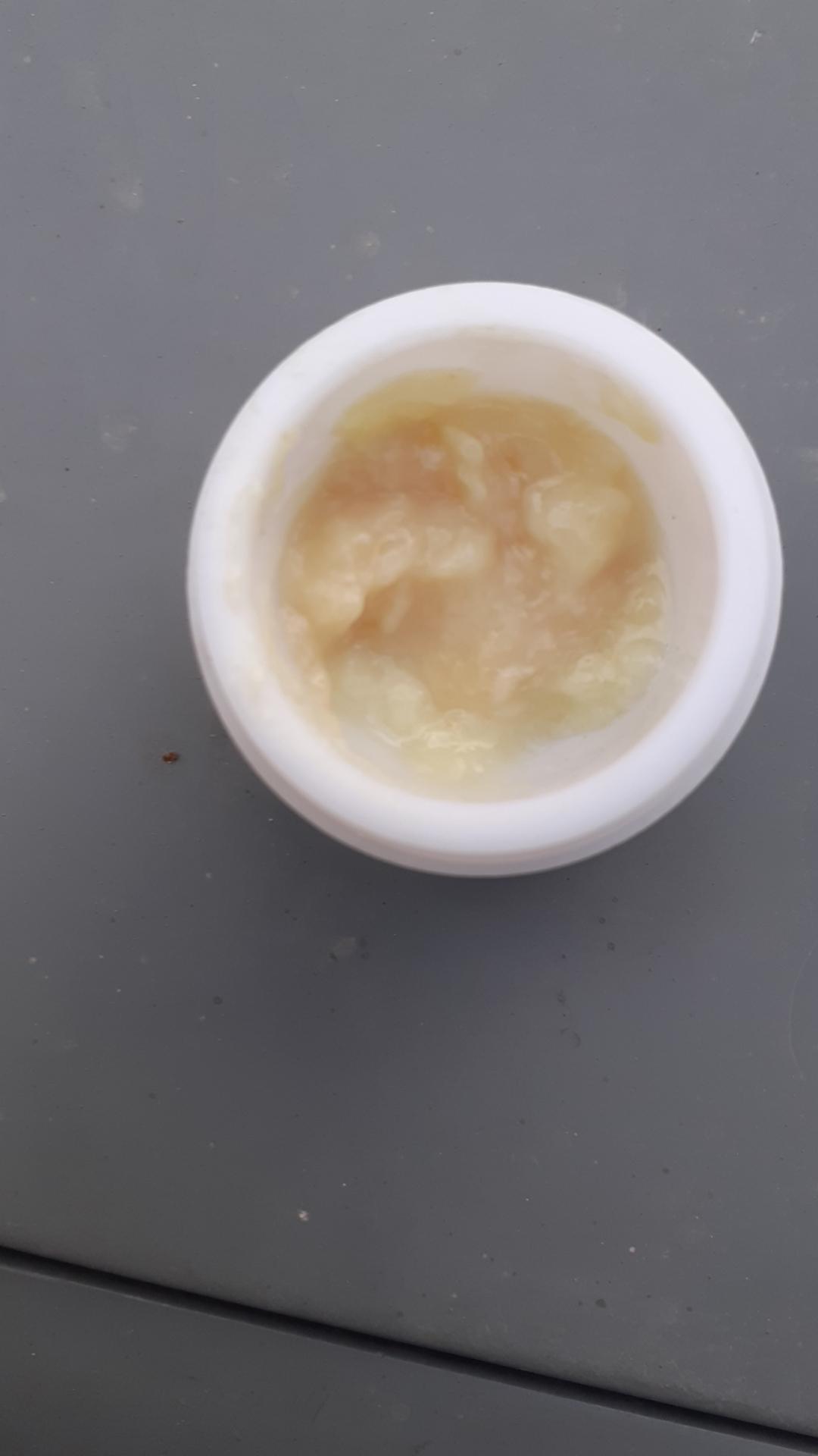 عکس زنبورستان گلزاری 