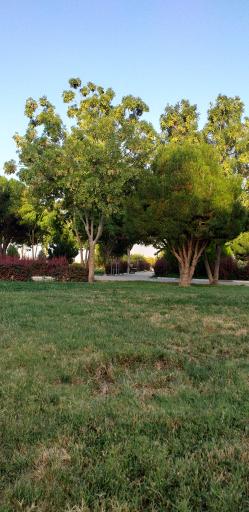 عکس بوستان بانک استان