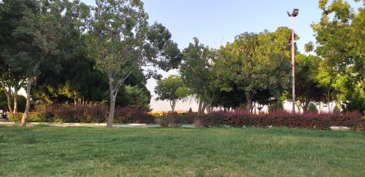 عکس بوستان بانک استان