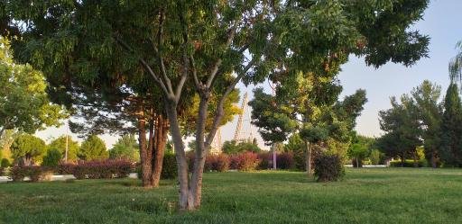 عکس بوستان بانک استان