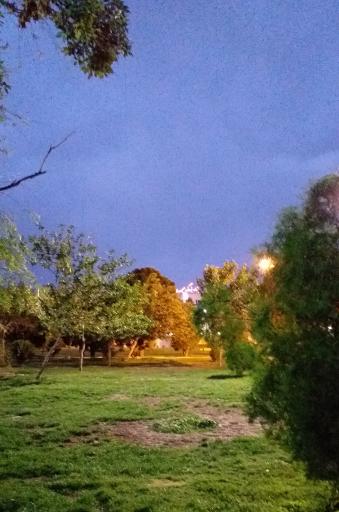 عکس بوستان بانک استان