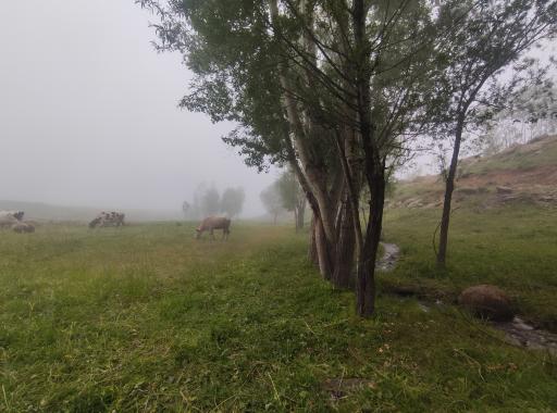 عکس کندوان