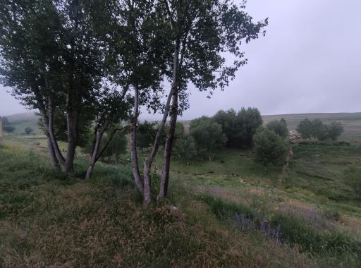 عکس کندوان