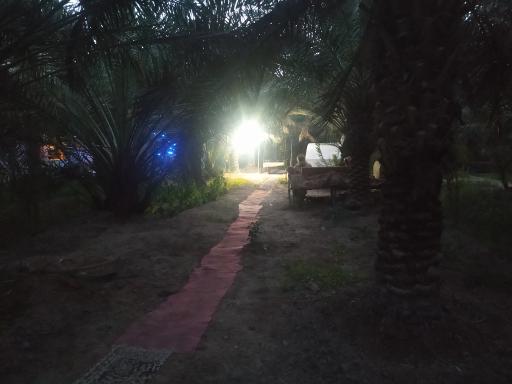 عکس رستوران نخلستان