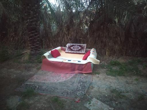 عکس رستوران نخلستان