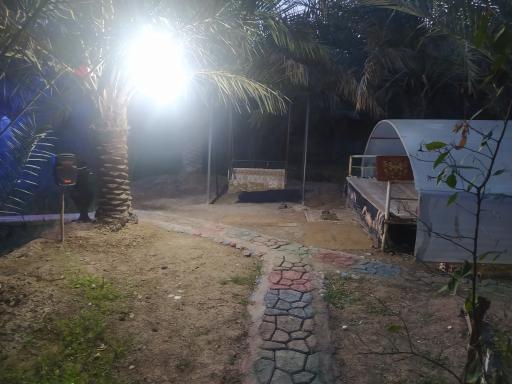 عکس رستوران نخلستان