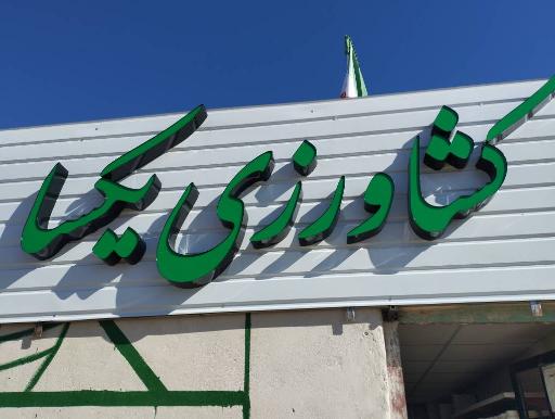 عکس کشاورزی یکسا