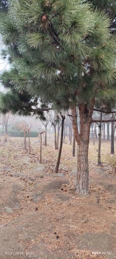 عکس پارک شهرک کوثر