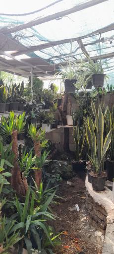 عکس گل و گلدان غزل