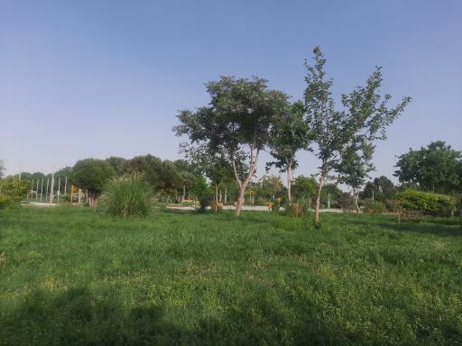 عکس بوستان بانک استان