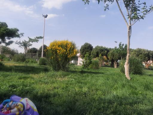 بوستان بانک استان