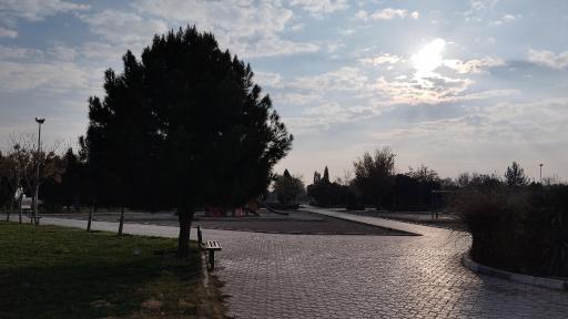 عکس بوستان بانک استان