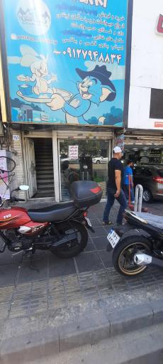 عکس پت شپ و پرنده سرای تام و جریح