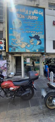 عکس پت شپ و پرنده سرای تام و جریح